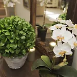 Дом отдыха 1 Bed In Oc-g0015 *