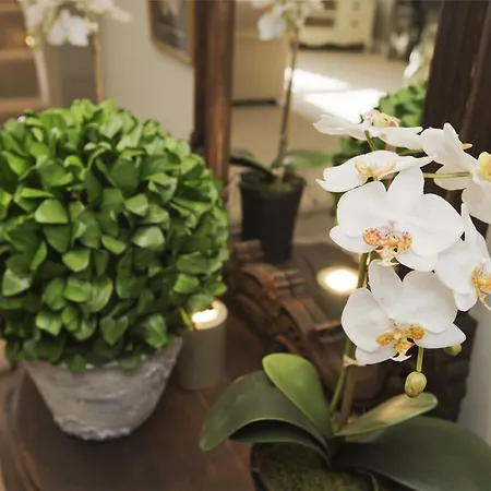 1 Bed In G0015 Tatil Evi *